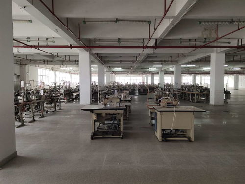 花都區(qū)學(xué)校建筑抗震安全檢測(cè)鑒定工作全面展開(kāi)，權(quán)威機(jī)構(gòu)助力筑牢校園安全防線